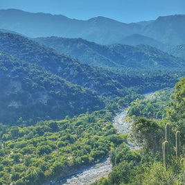 Río Clarillo, Pirque - Fecha por Definir