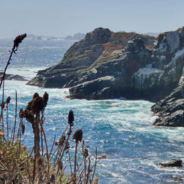Salto El Puquén, Los Molles - Fecha por Definir