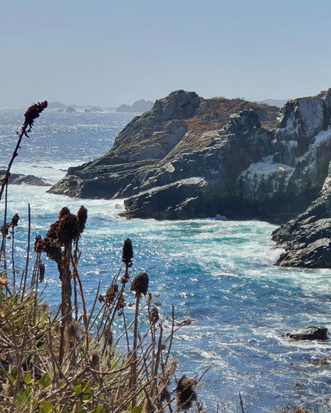 Salto El Puquén, Los Molles - Fecha por Definir