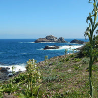 Salto El Puquén, Reserva Puquén, Los Molles