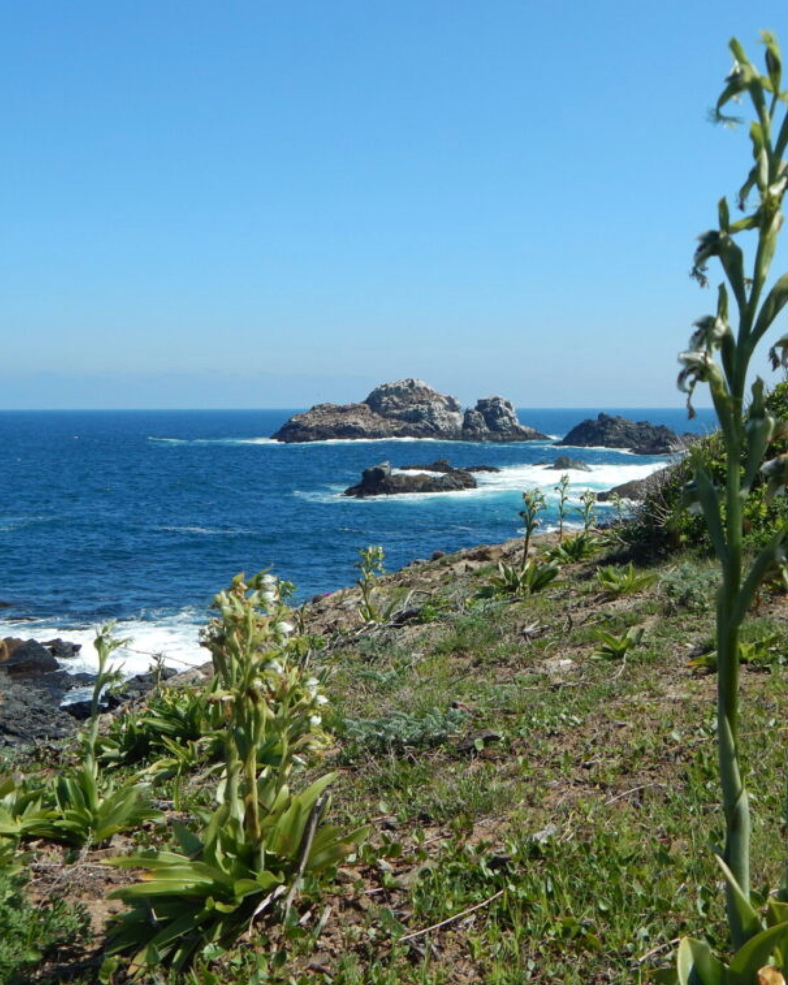 Salto El Puquén, Los Molles - Fecha por Definir